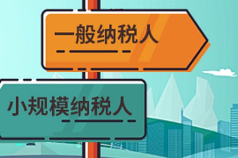 拉薩一般納稅人做賬報稅代理費用為什么高于小規(guī)模納稅人？